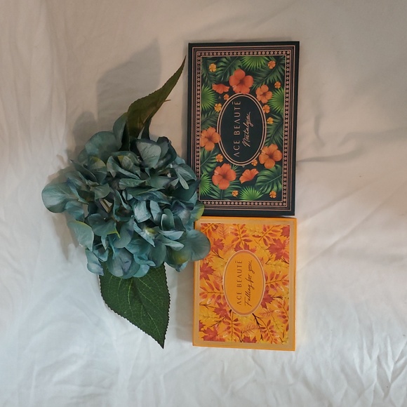 Ace Beaute Eyeshadow Bundle - Picture 3 of 4